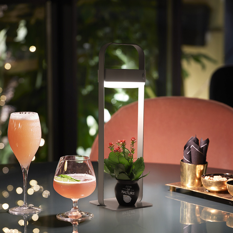 LED Solar Powered Table Lamp With USB Charging M001TM